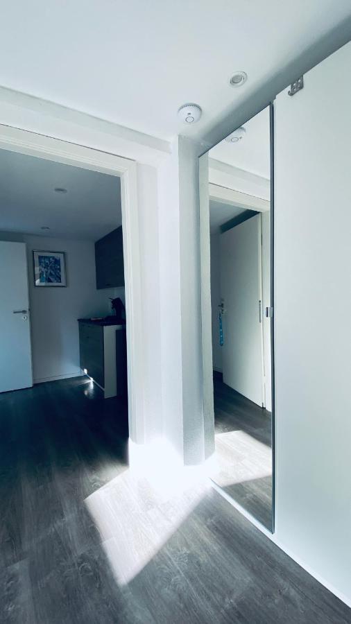Haus-No19 Gbr Daire Kippenheim Dış mekan fotoğraf